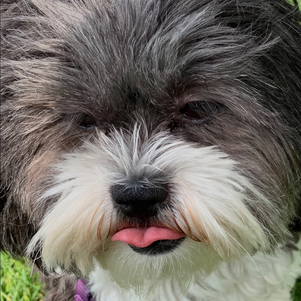 Meet your Posher, Tracey